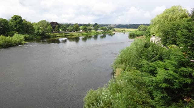 A wide view looking upstream along the River Tweed at Kelso with wooded banks and calm green water.