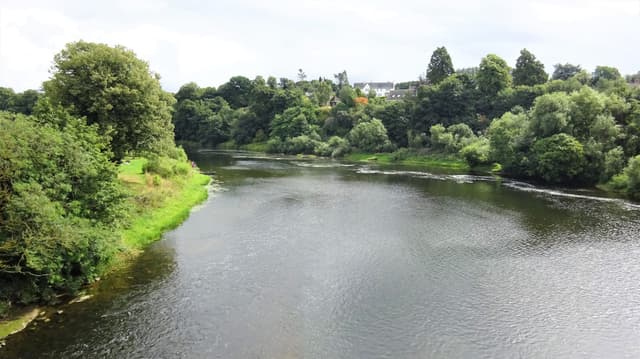 Downstream view of the River Tweed from Kelso Bridge, a wide salmon river flowing through a broad wooded valley.