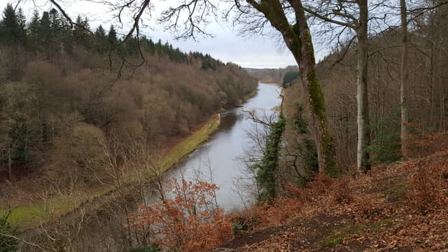 An early-spring view of the River Tweed near Old Melrose, the broad river curving through bare wooded banks.