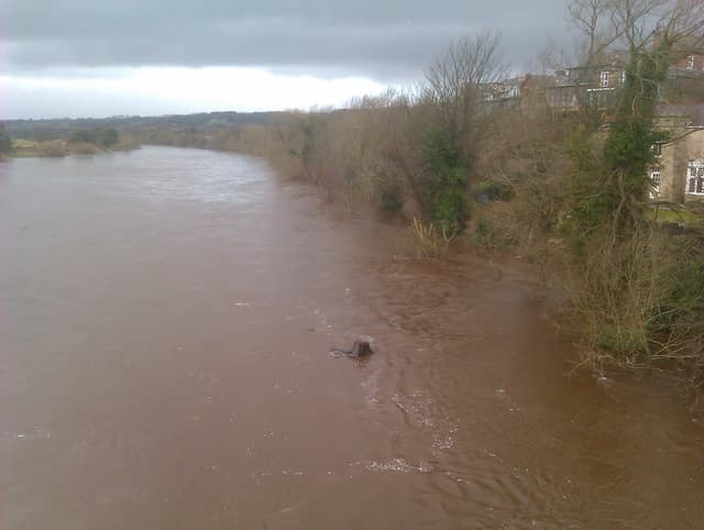The River Tyne at Corbridge flowing past wooded banks in winter light.