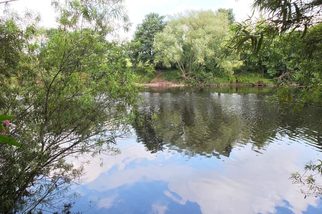 The River Tyne near Corbridge, the channel set in its summer landscape.