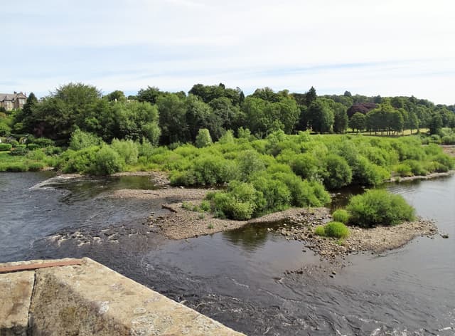 A broad reach of the River Tyne at Corbridge, riffle and pool over a cobble bed.