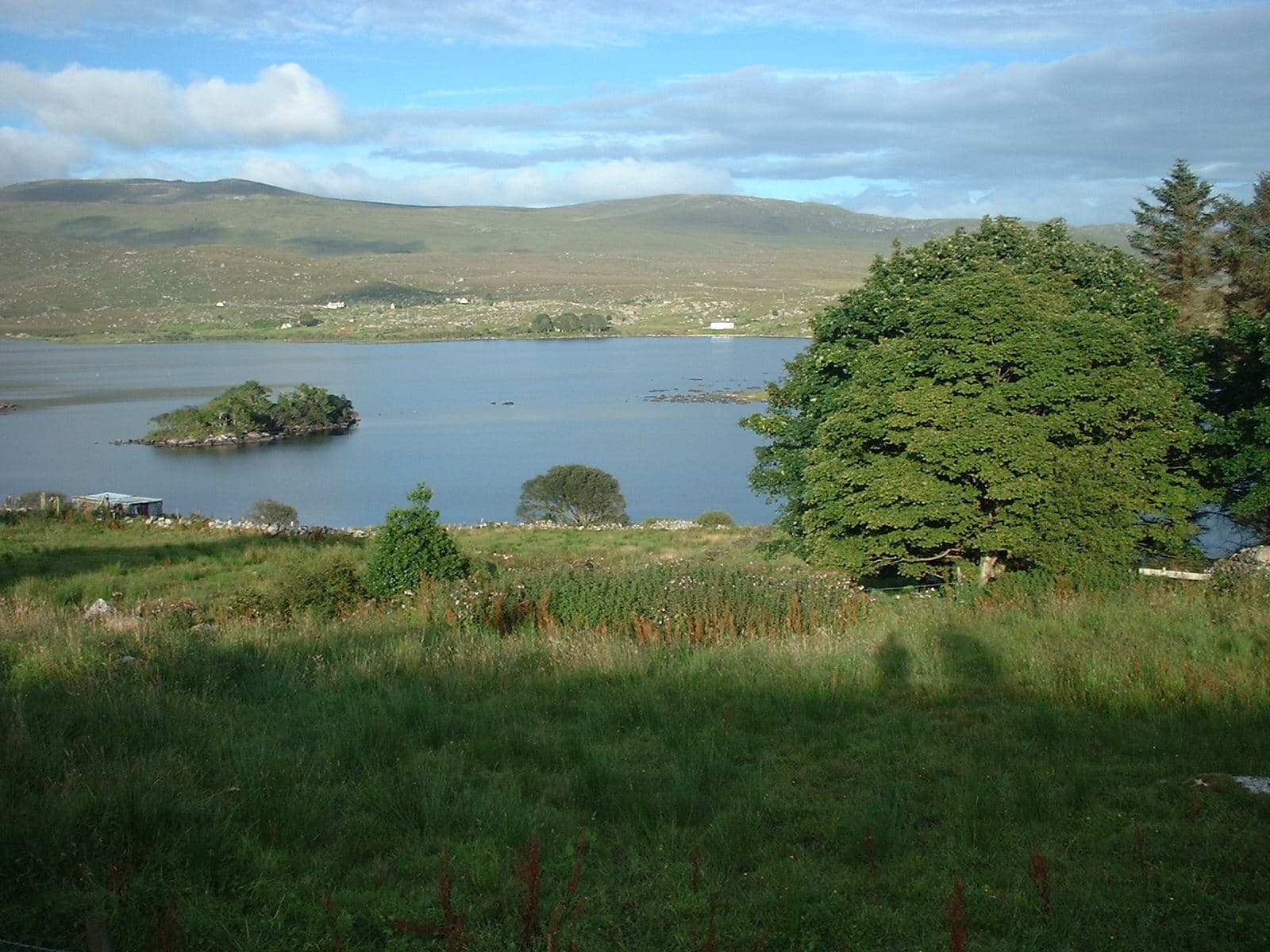 Loughanure