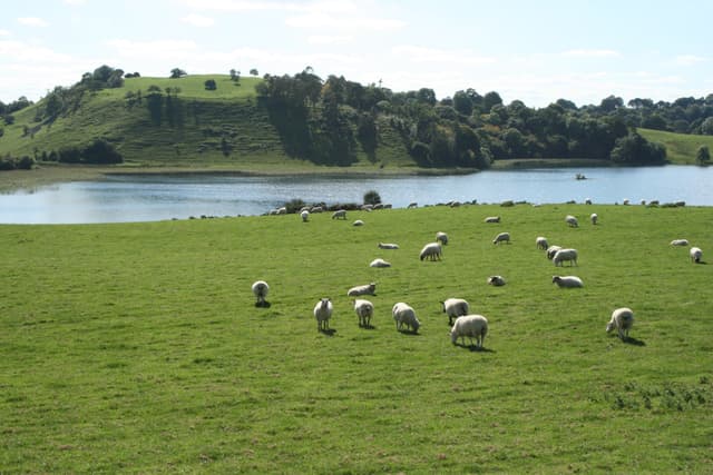 Lough Bane, County Meath - geograph.org.uk - 1823134