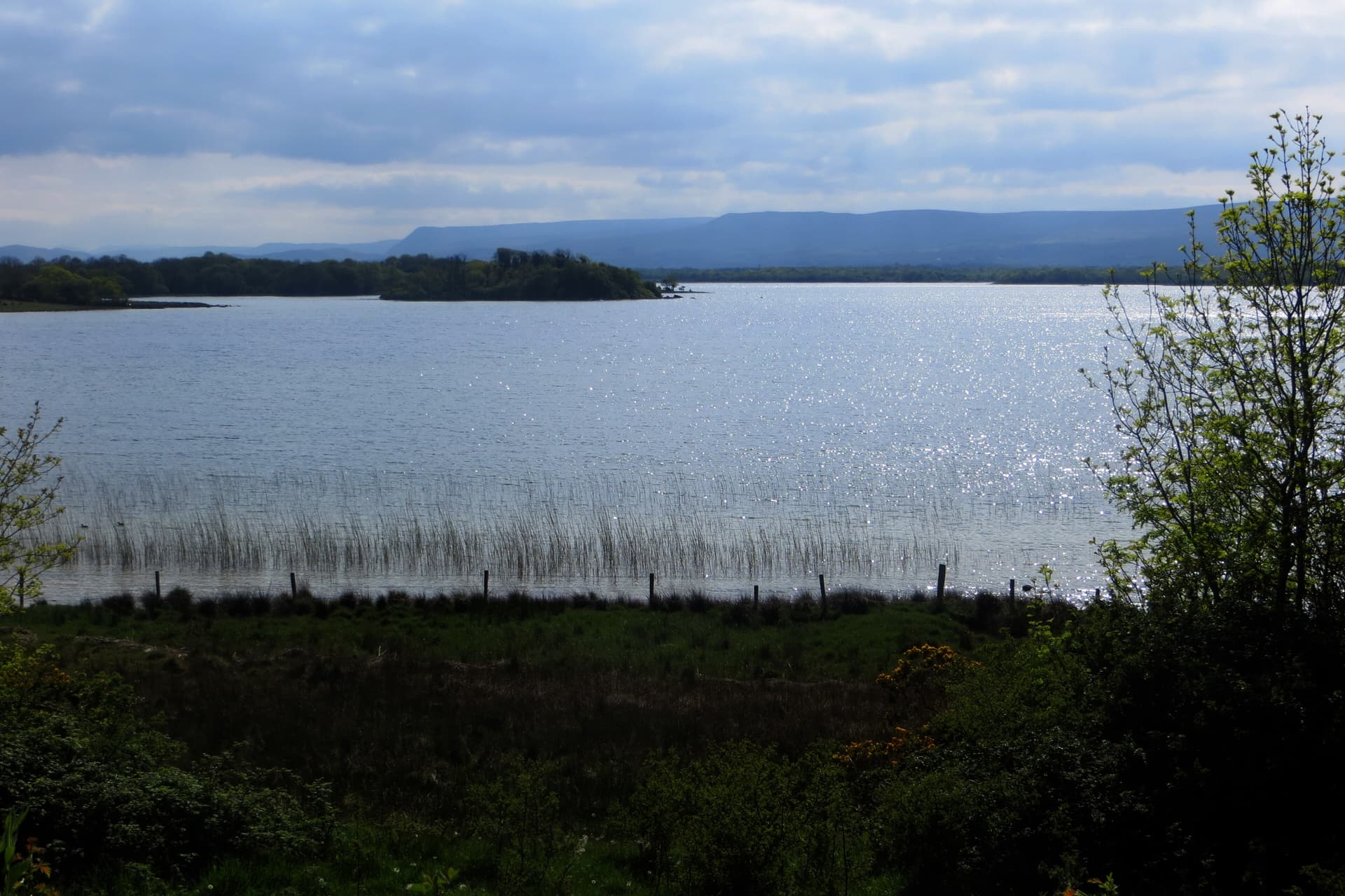 Lough Carra - geograph.org.uk - 4966038