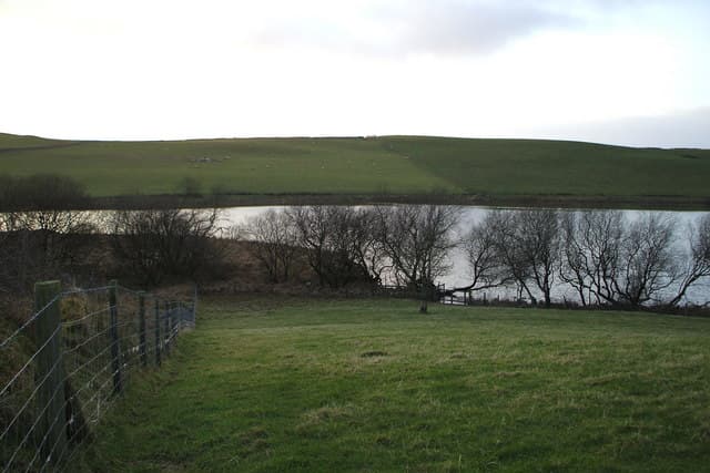 Pond Rhosrydd - geograph.org.uk - 661555