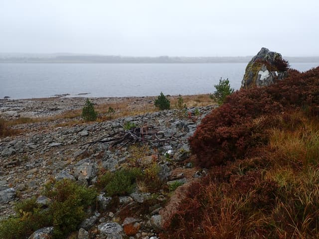 SW Shore of Loch Shin - geograph.org.uk - 5928785