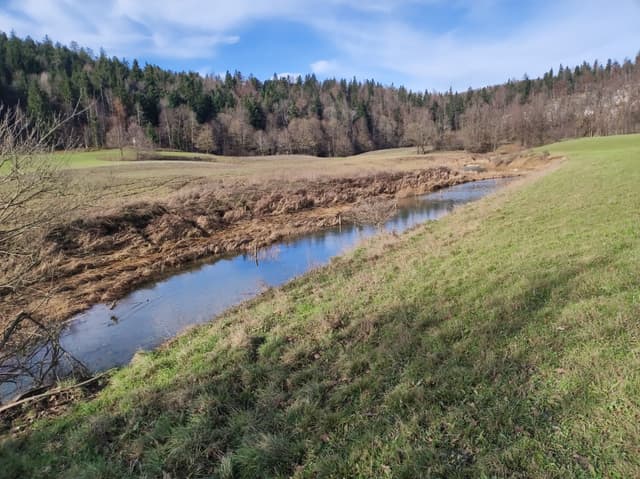 The Unica meandering across the Planina karst plain with grassy banks and karst hills in the distance.