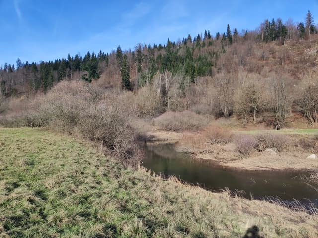 The Unica at the northern edge of the Planina Plain, approaching the ponor sinks.
