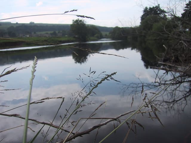 A wide summer view of the River Ure near Worton winding through lush valley meadows with limestone hills beyond.