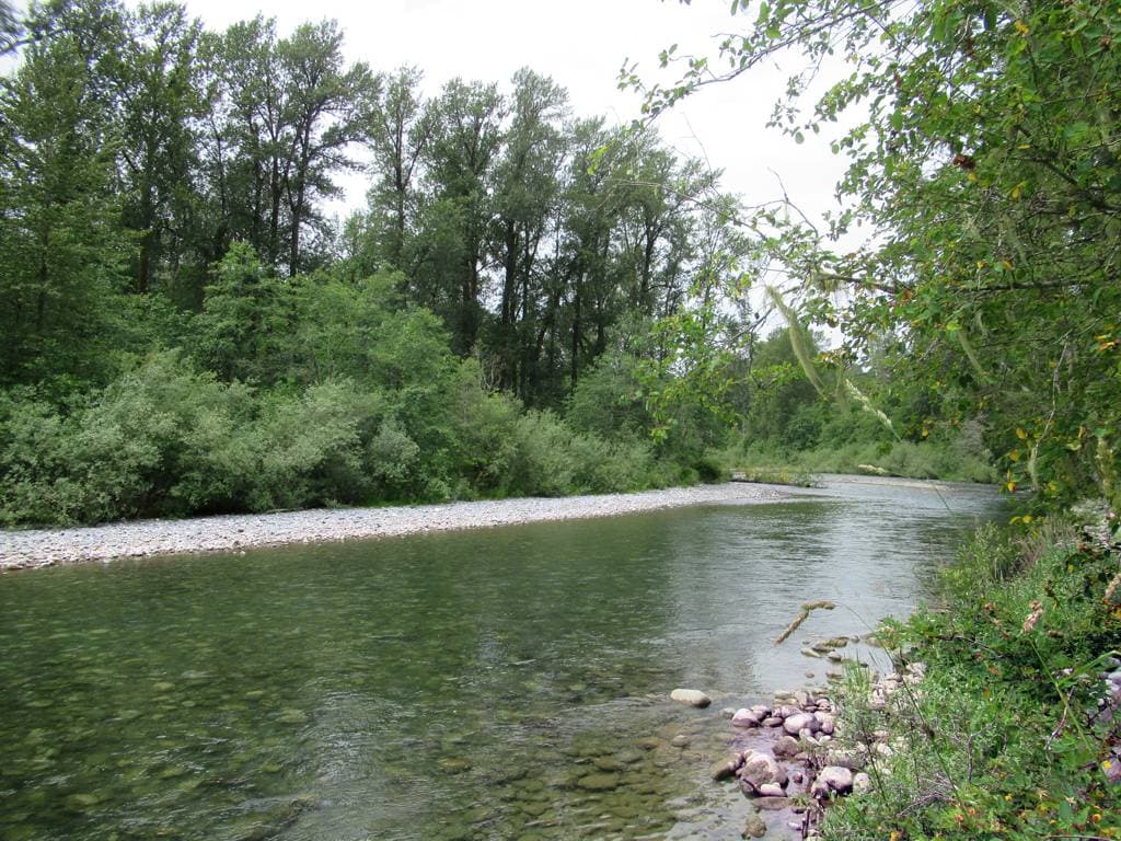 Cowichan River