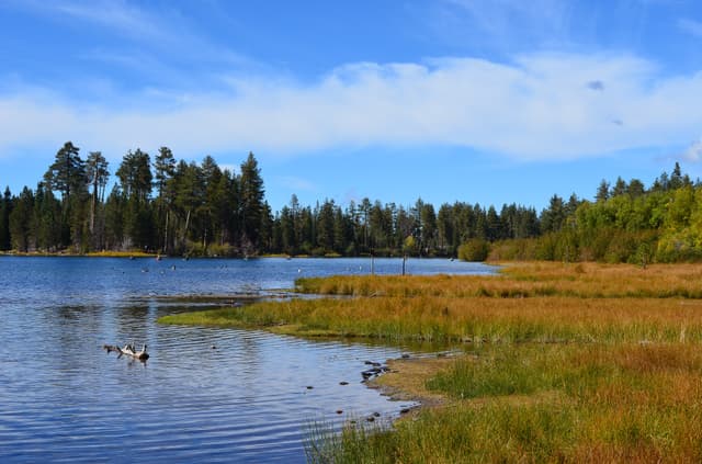 Manzanita Lake Fall Colors