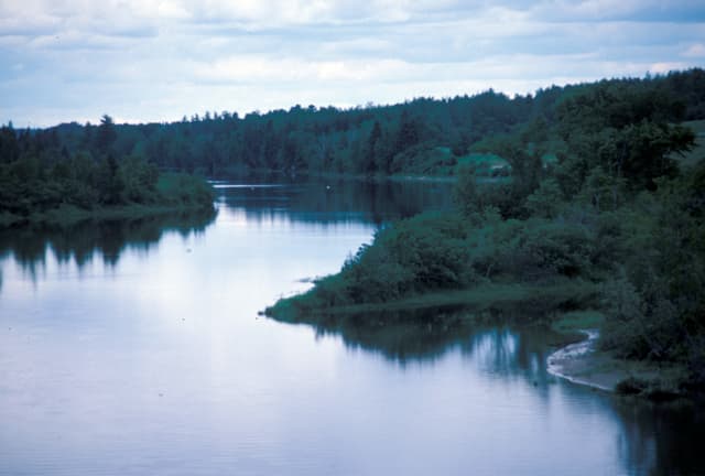 1986 NW Miramichi