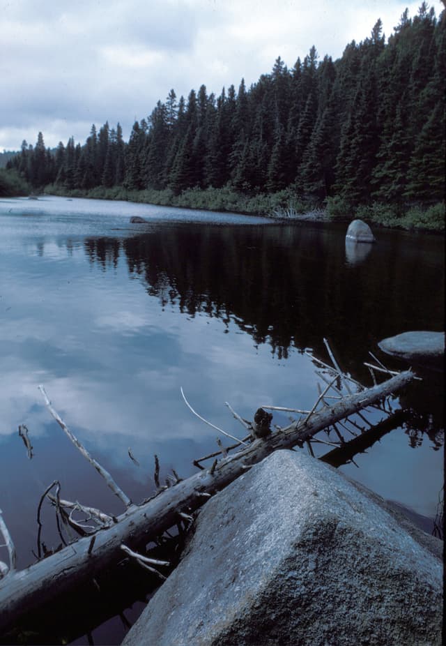 1977 North Renous River, NB, Canada
