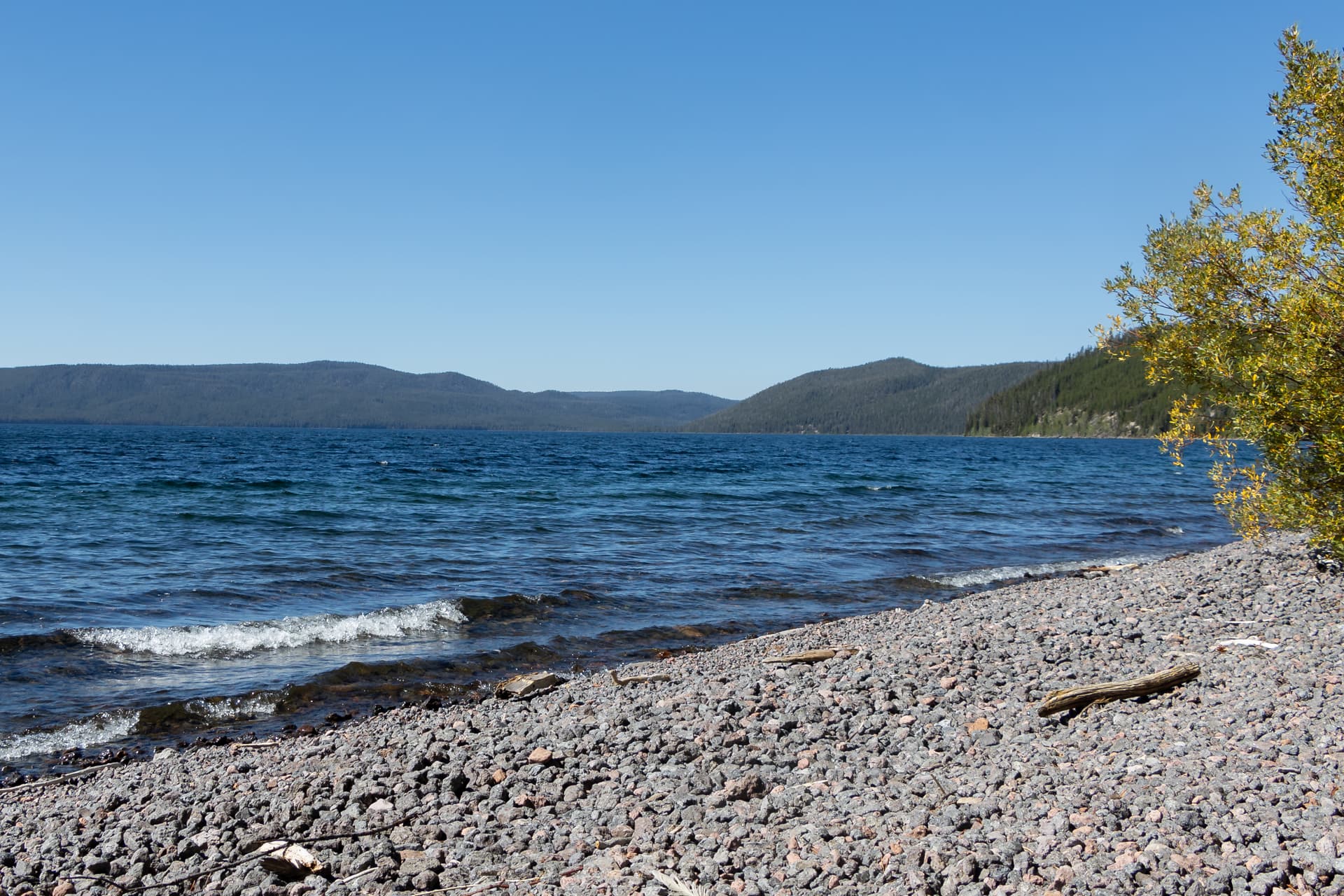 East shore of Shoshone Lake