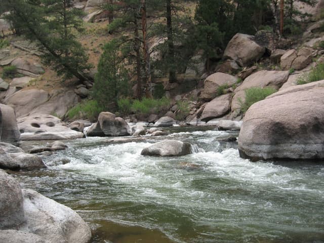 Cheesman Canyon