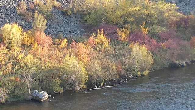 Warm River, Caribou-Targhee National Forest