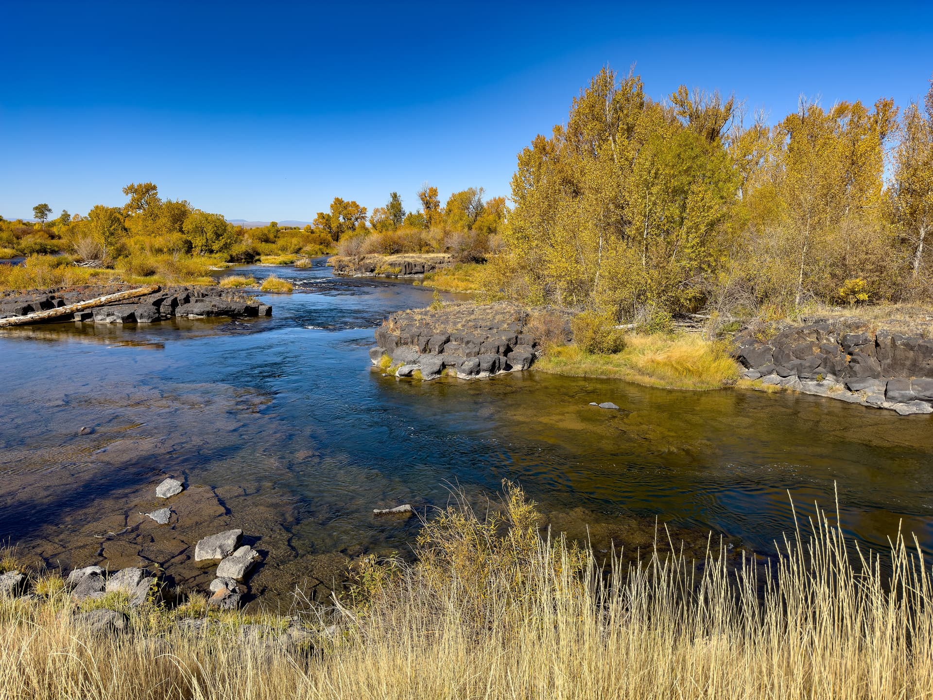 Taking Pictures on the Fall River - Henry's Fork - Autumn in Idaho 3