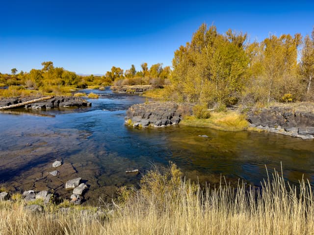 Taking Pictures on the Fall River - Henry's Fork - Autumn in Idaho 3