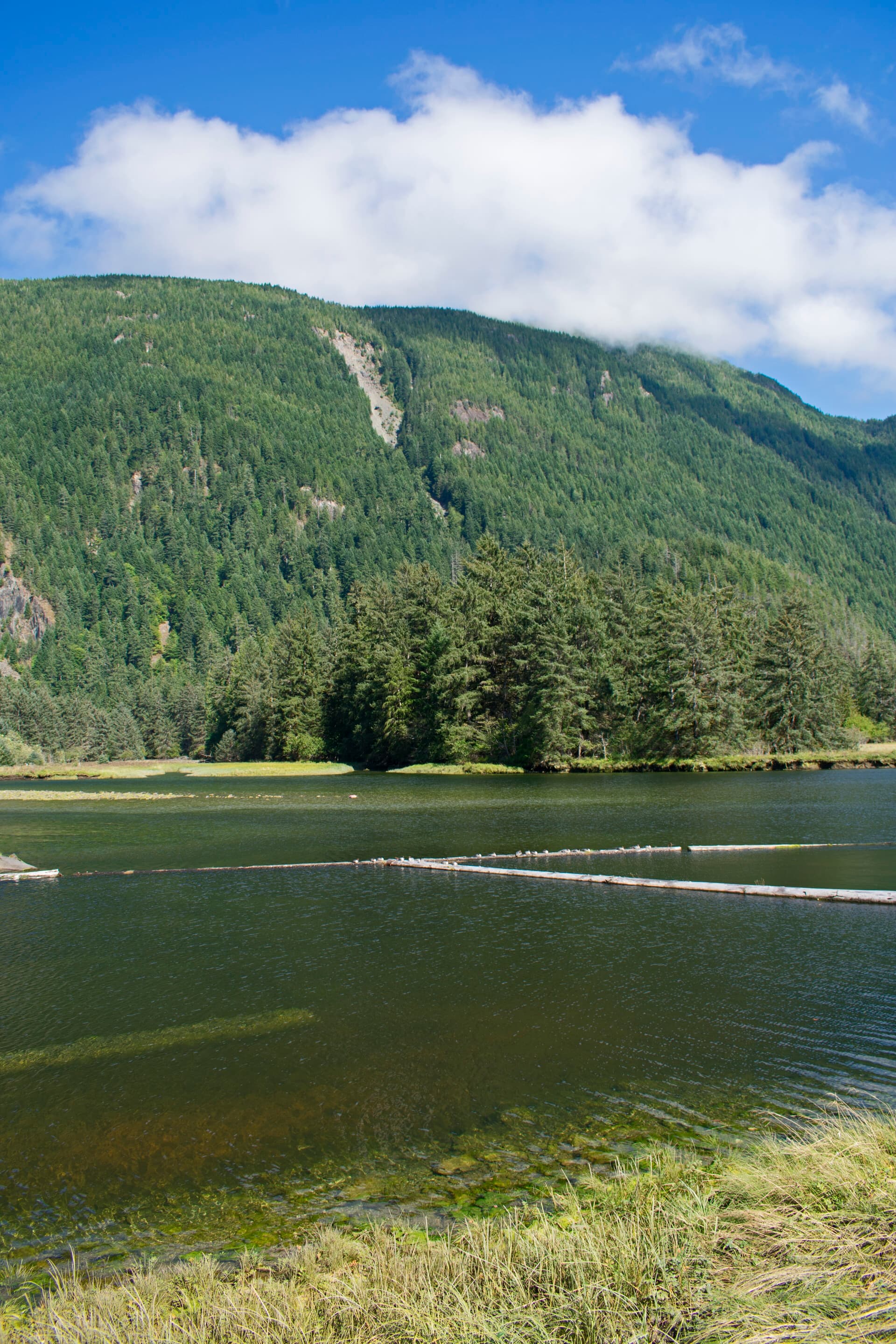 Gold River mouth Nootka Sound