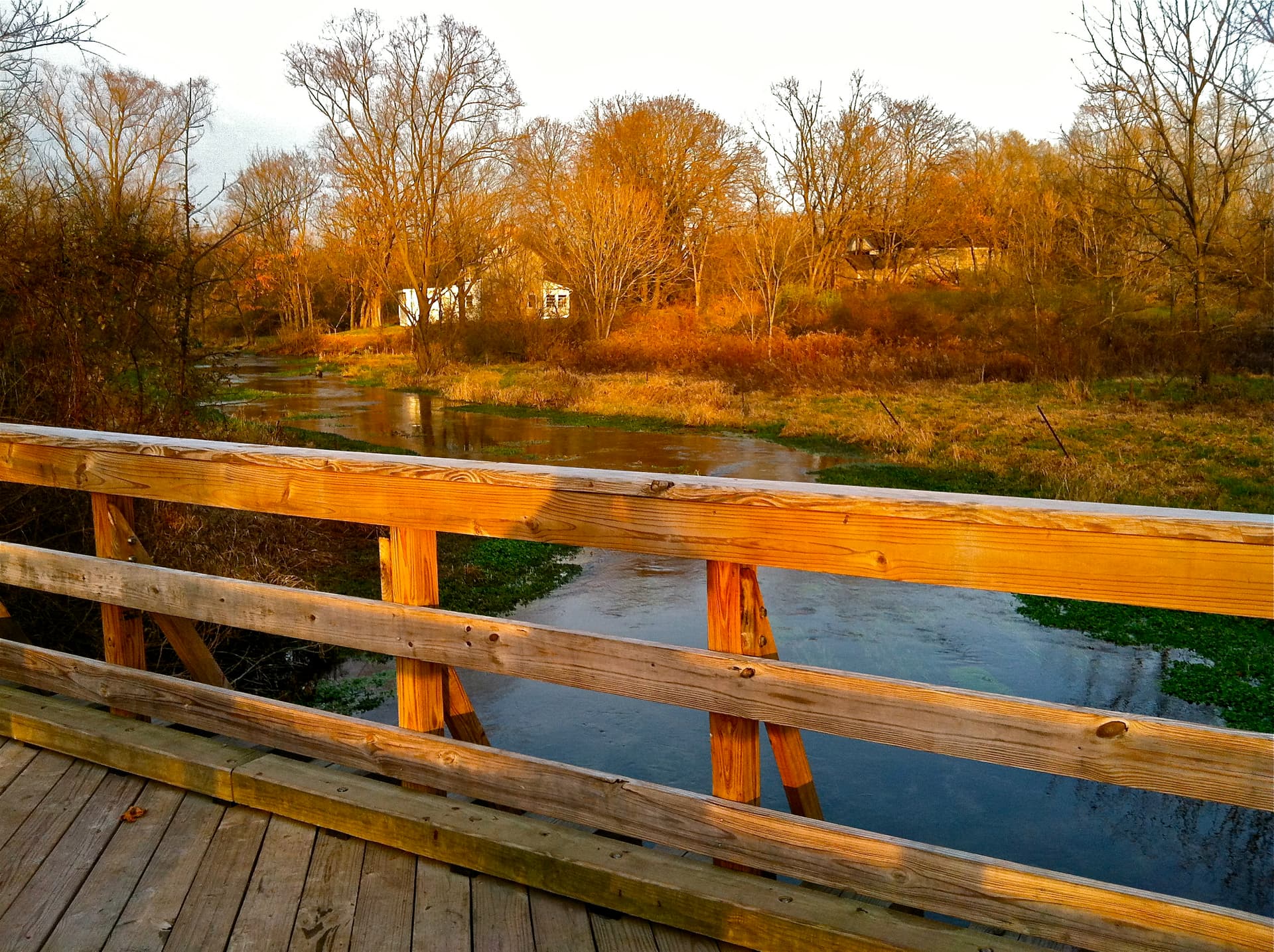 View from one of the various bridges on the Letort Spring Run Nature Trail