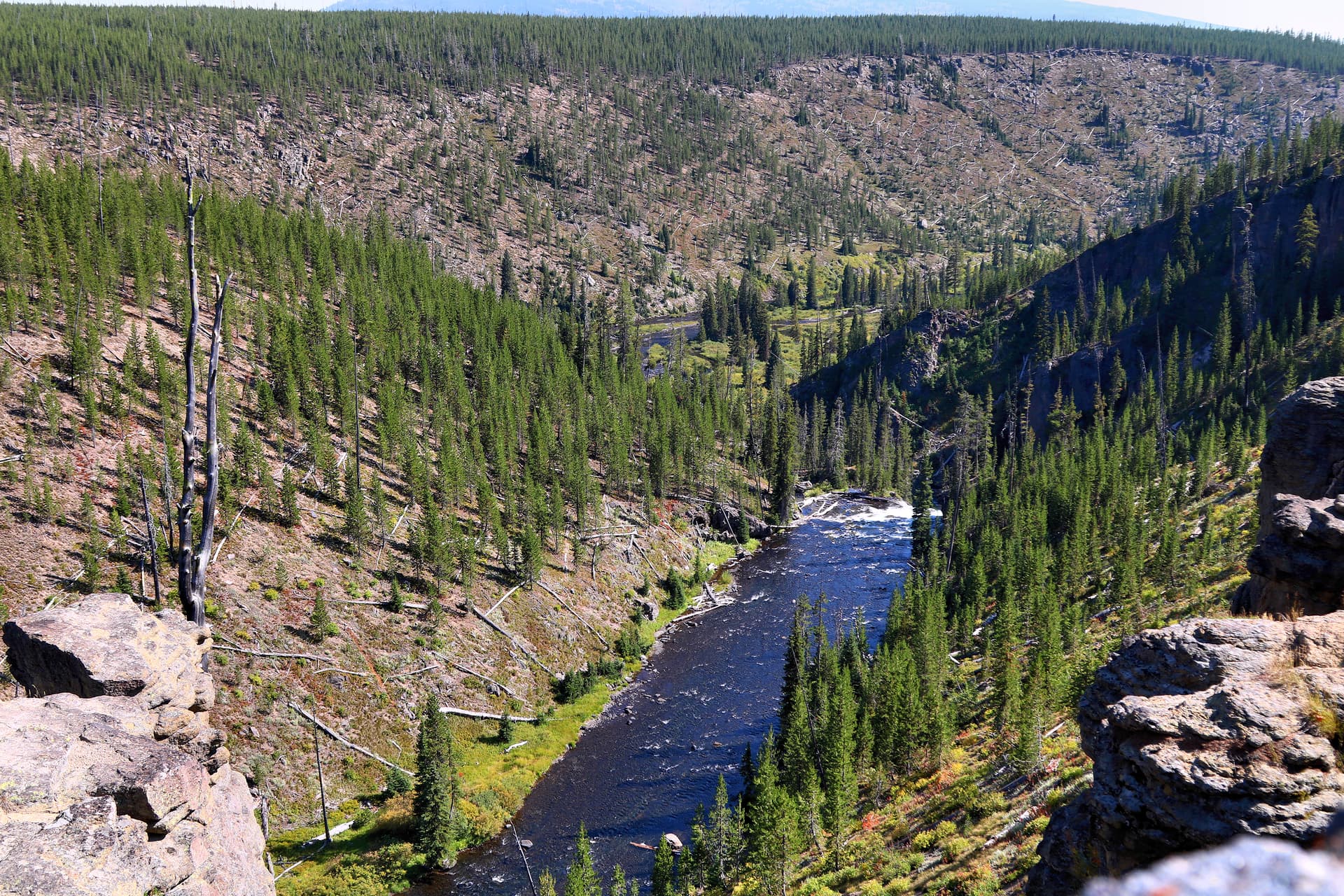 Lewis River Yellowstone NP Wyoming 2024