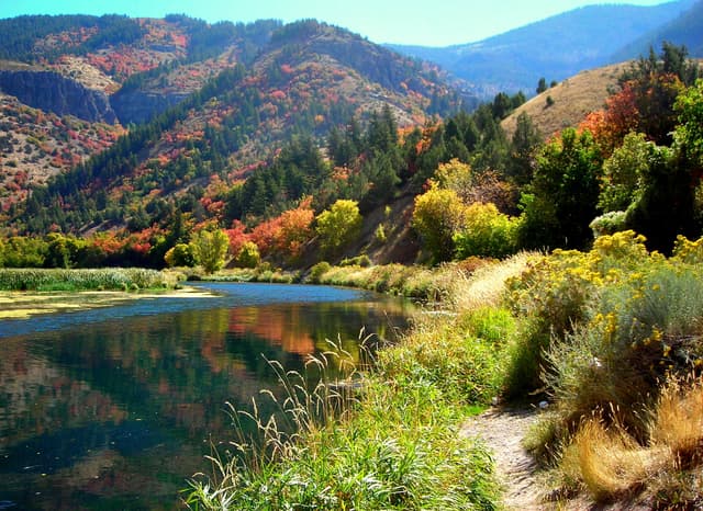 Logan Canyon Scenic Byway - River Through Logan Canyon