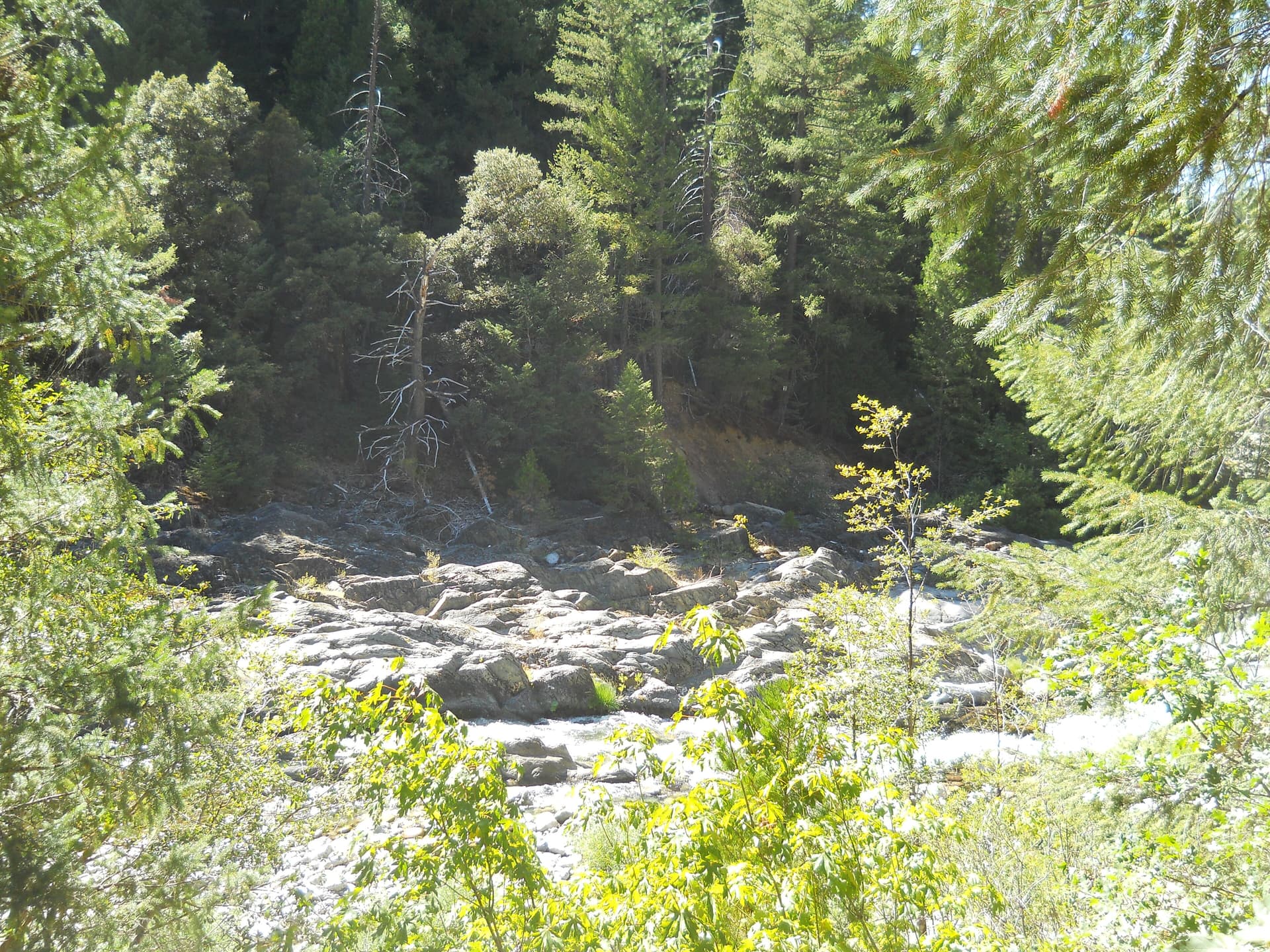 Yuba River 5