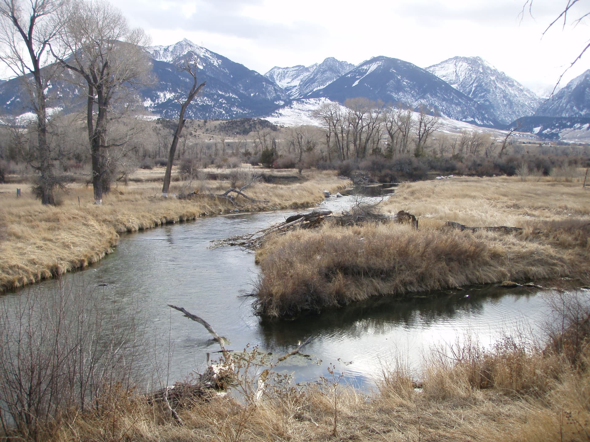 ArmstrongSpringCreekJanuary2008