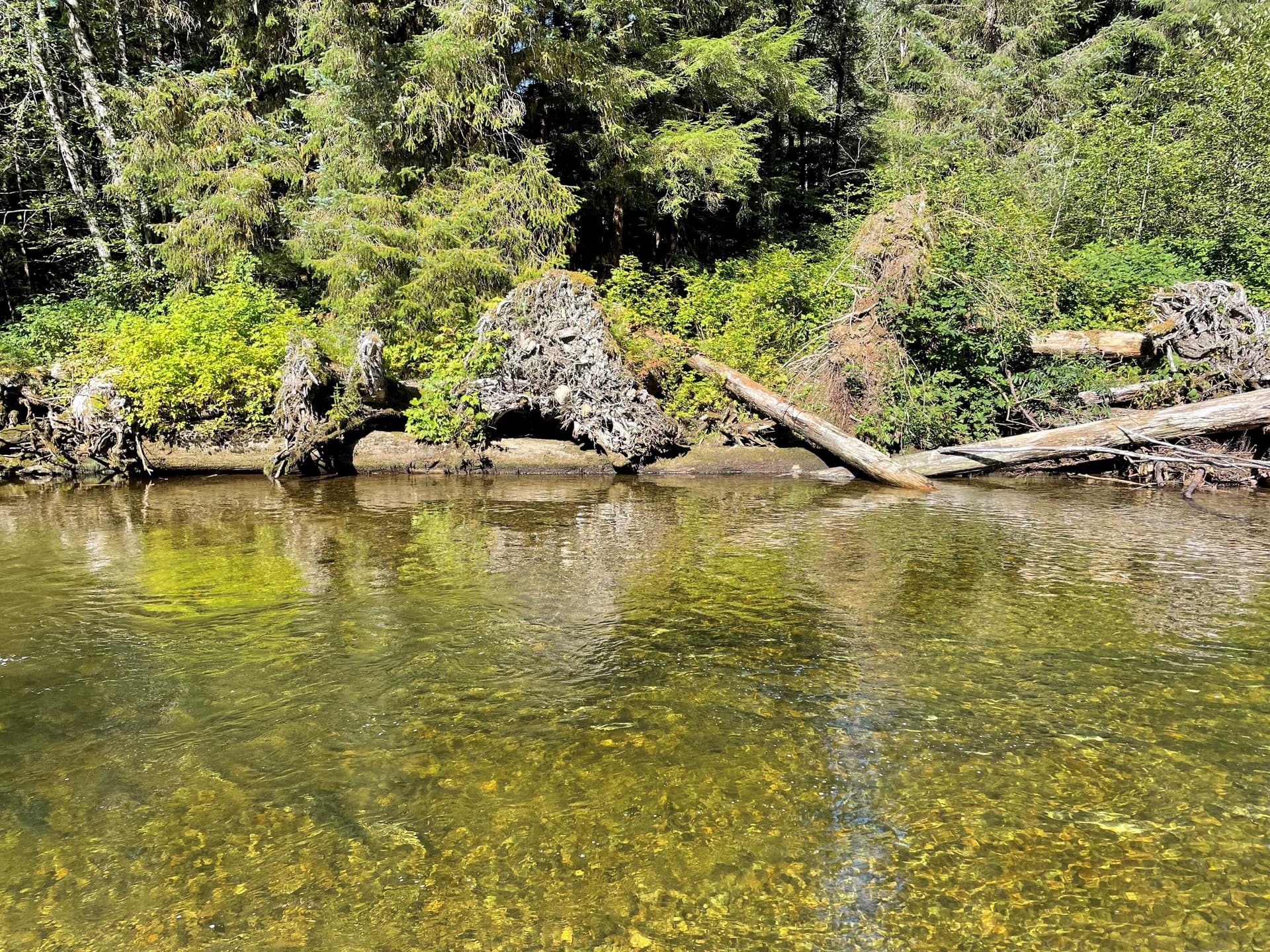 Harris river instream restoration structures sept 2022-Tongass-SAJ-012
