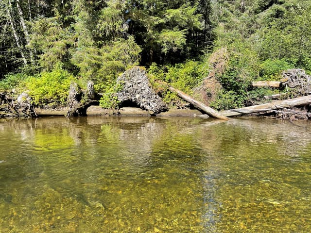 Harris river instream restoration structures sept 2022-Tongass-SAJ-012