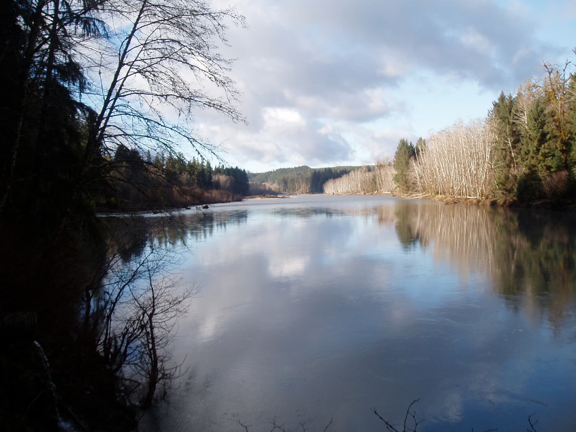 Queets river scenic