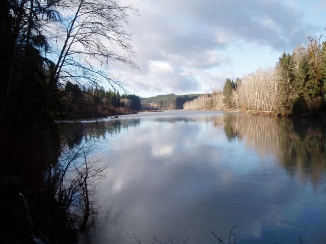 Queets river scenic
