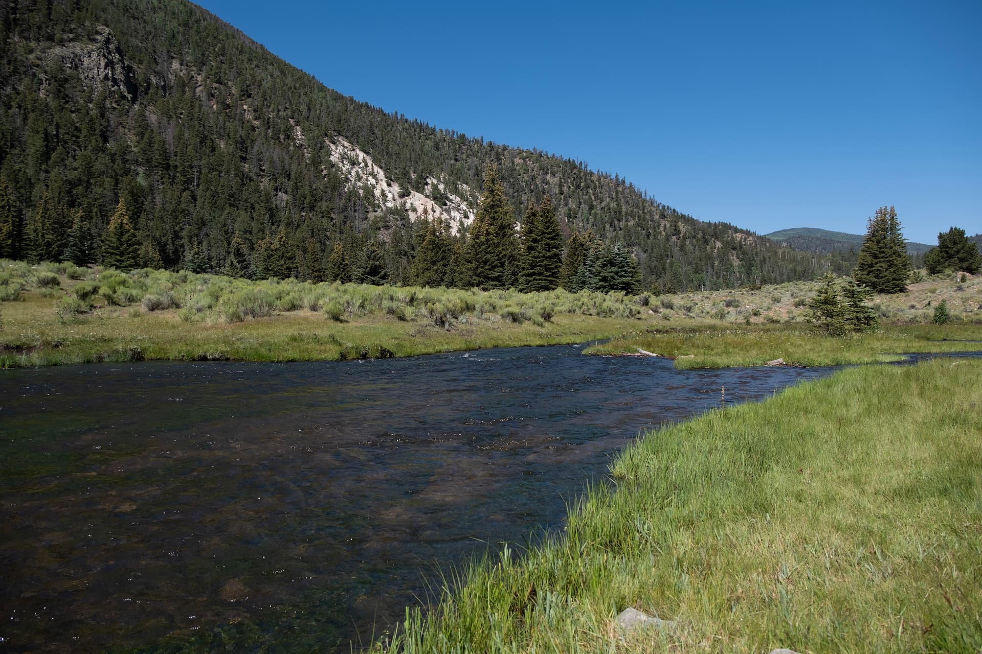 Costilla Creek, pictured from the Rio Costilla Campground in 2024
