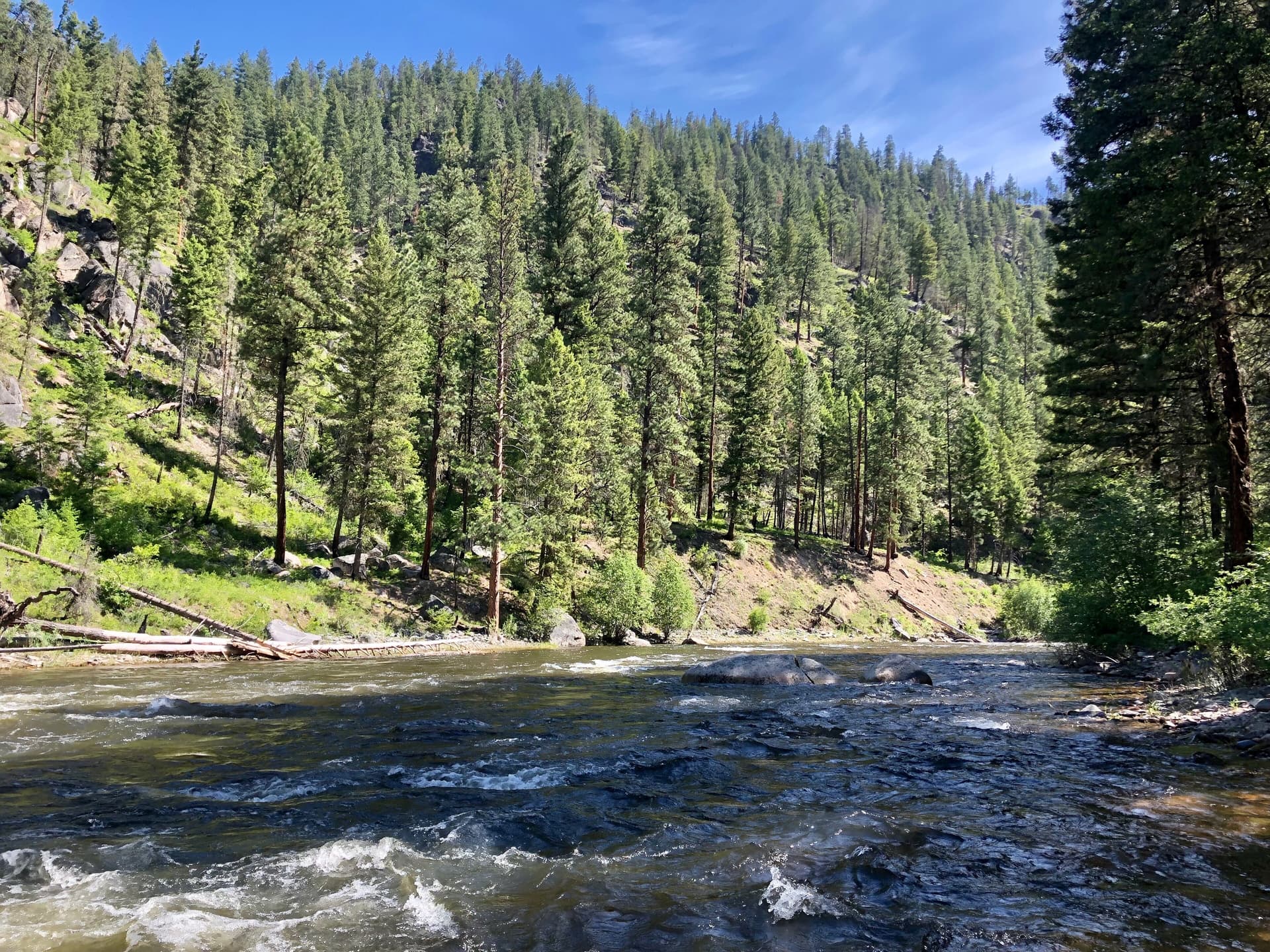 Rock Creek on the Missoula Ranger District