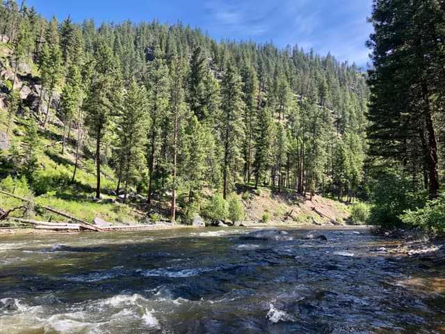 Rock Creek on the Missoula Ranger District