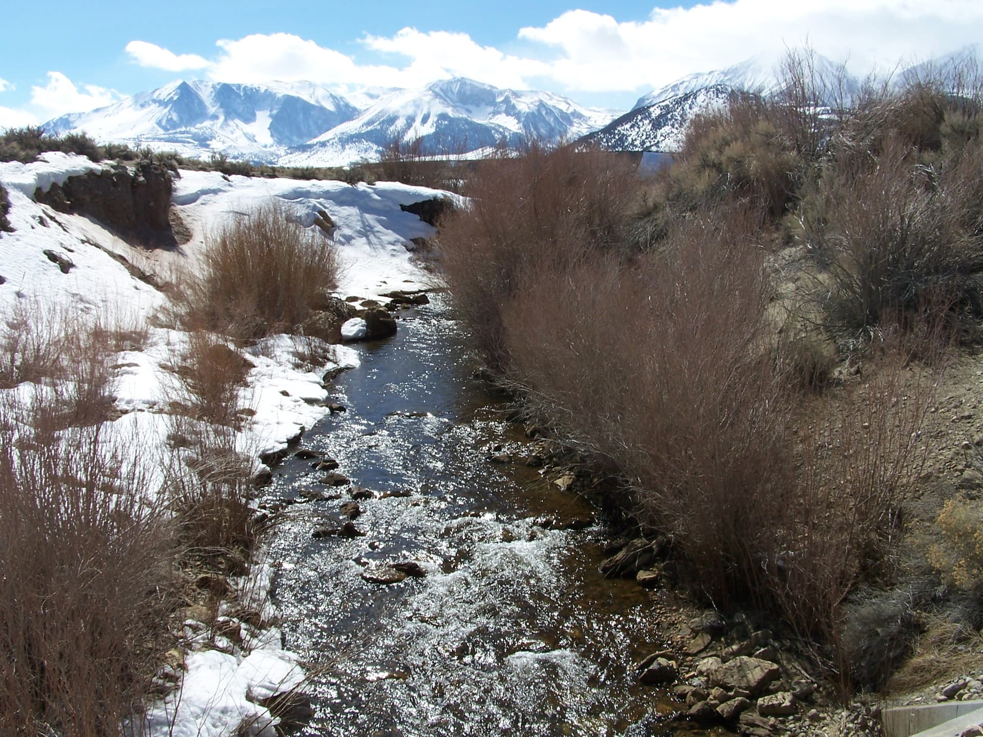 Rush Creek incised channel Greg Reis 2010