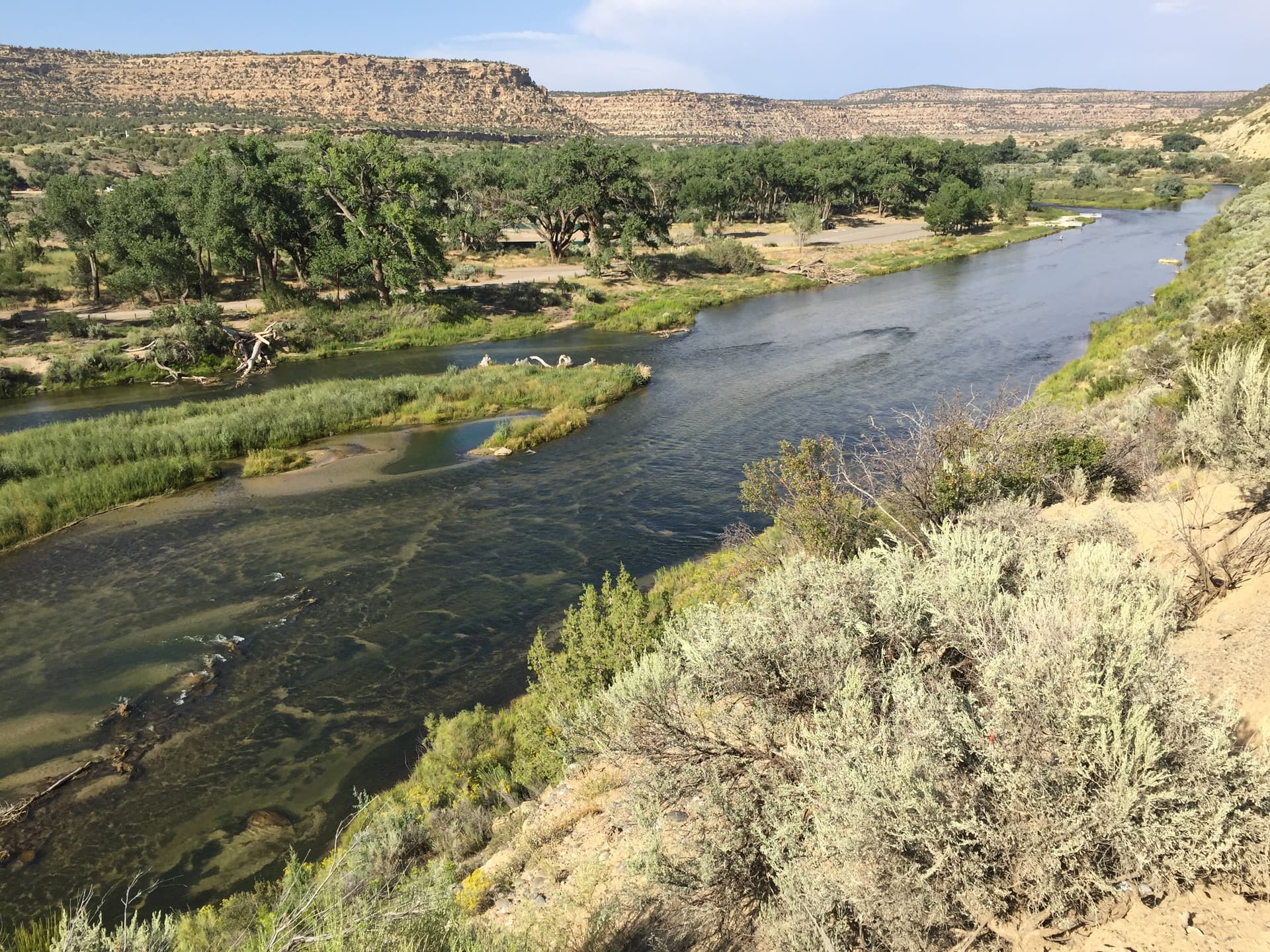San Juan River near Navajo Dam, New Mexico