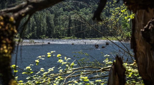 Wild and Scenic Sandy River