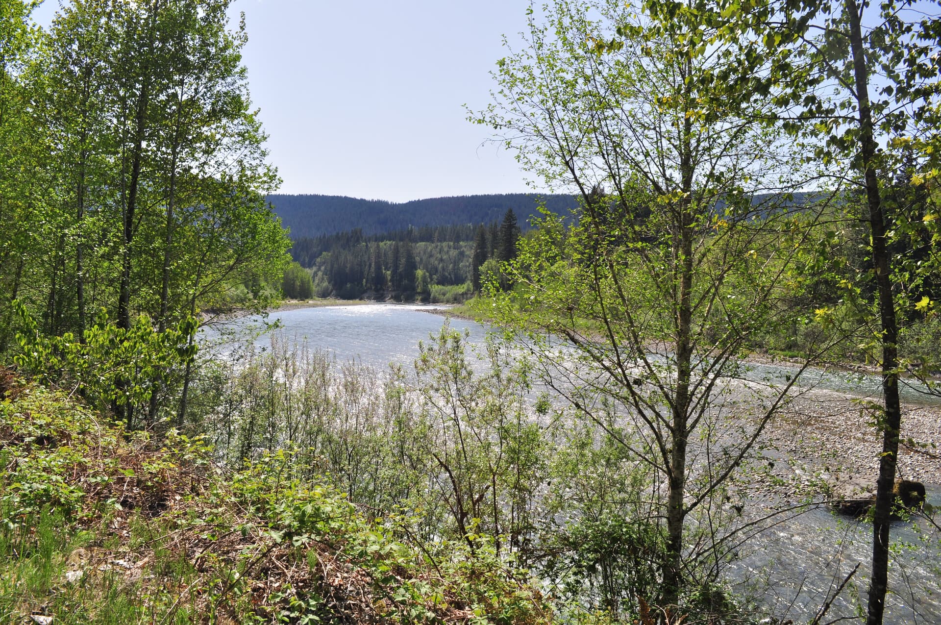 Lower Sauk River 01