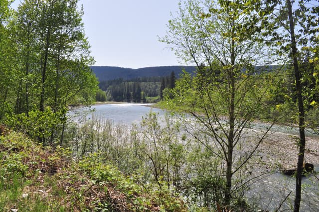 Lower Sauk River 01