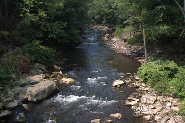 Savage River (Maryland) from Allegany Bridge