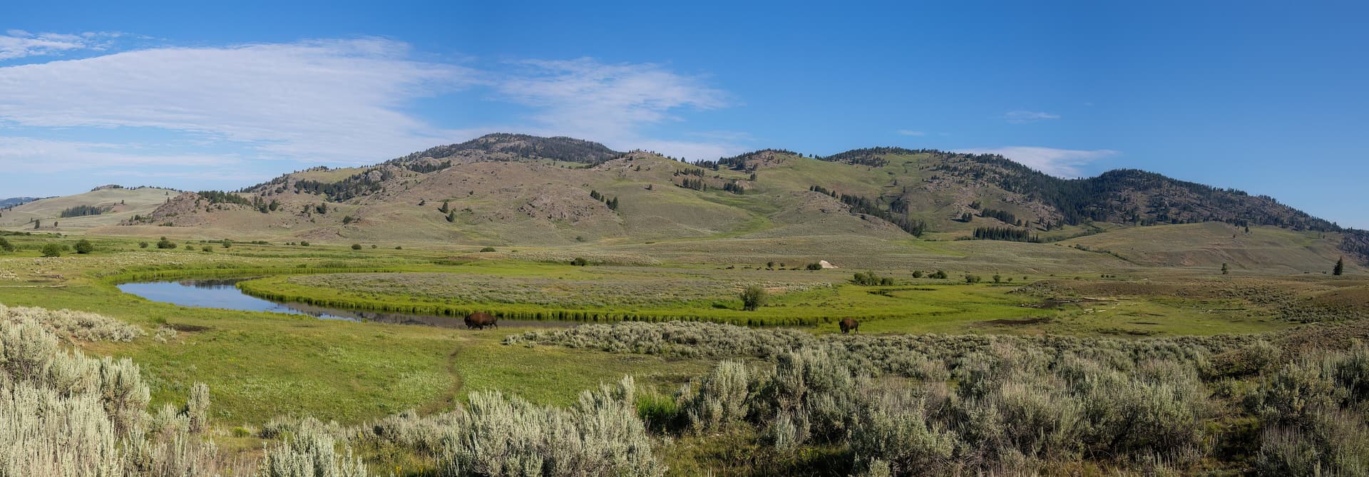 Slough Creek (95368p)