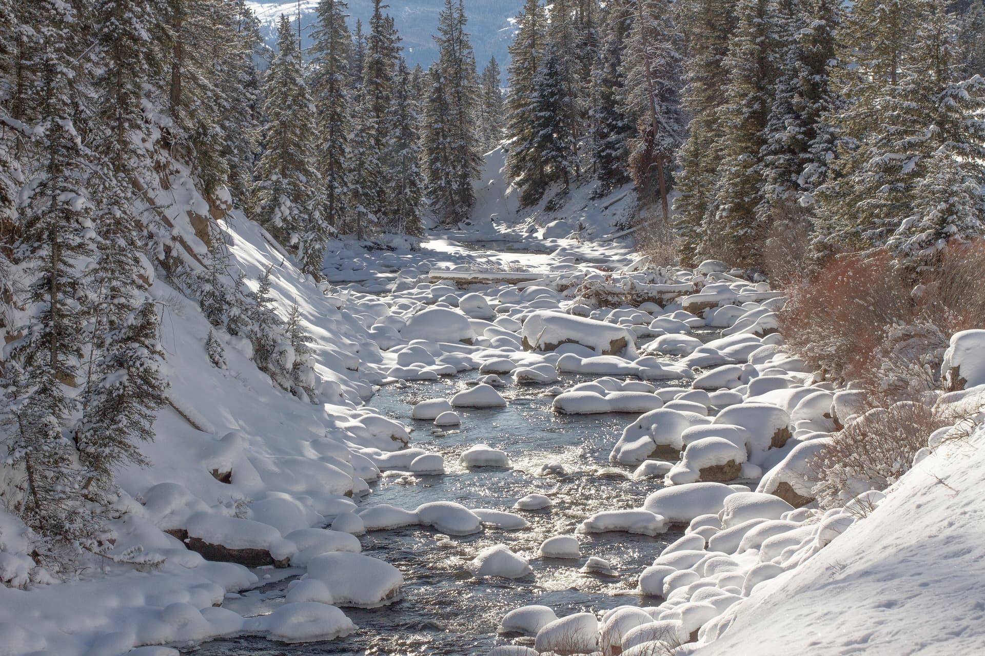 Soda Butte Creek
