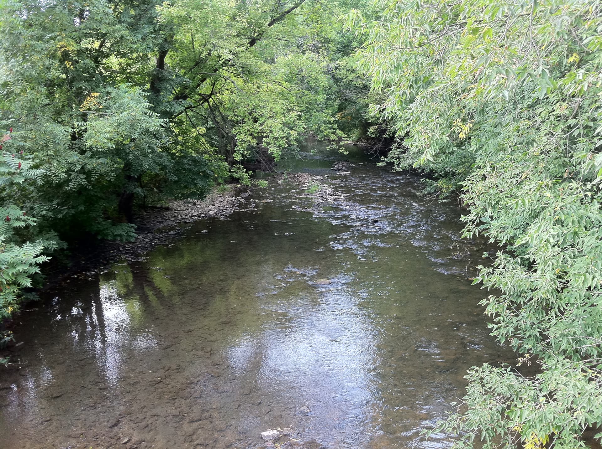 South Branch Root River - panoramio