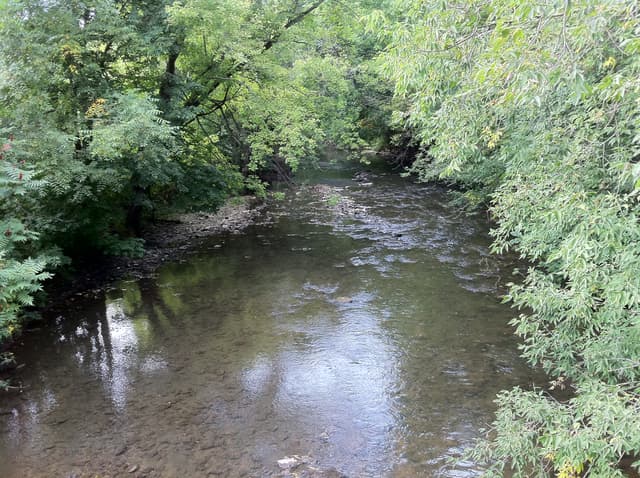 South Branch Root River - panoramio