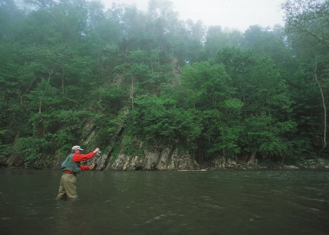 NRCSVA02031 - Virginia (6589)(NRCS Photo Gallery)
