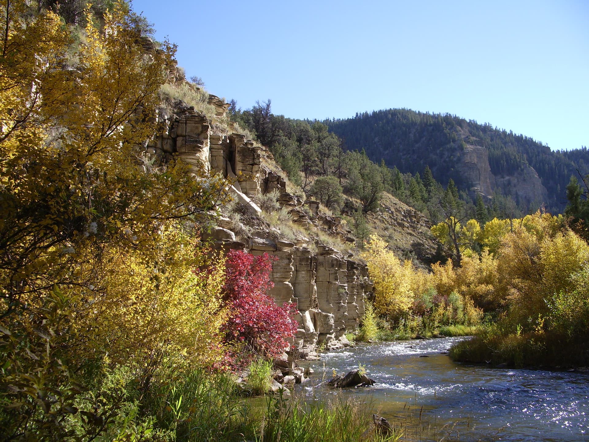Fall on the Strawberry River in Utah