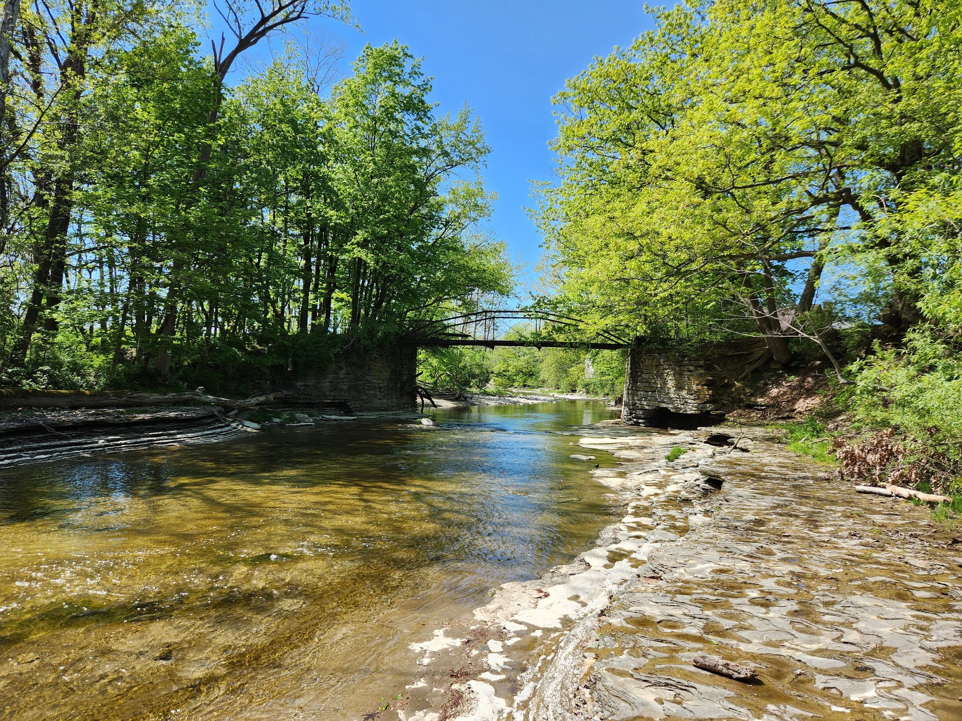 Twentymile Creek Erie County, PA