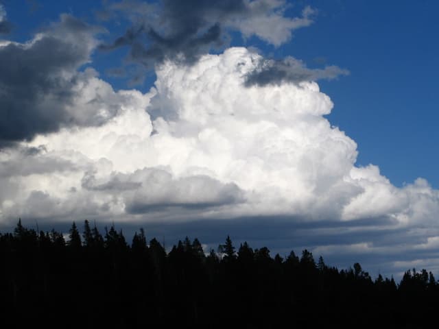 Reader Creek Meadows, High Uintas
